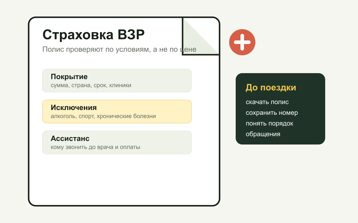 Инфографика проверки туристической страховки